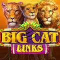 Big Cat Links Winner